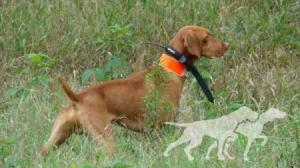 Burr Oak's Quarterback