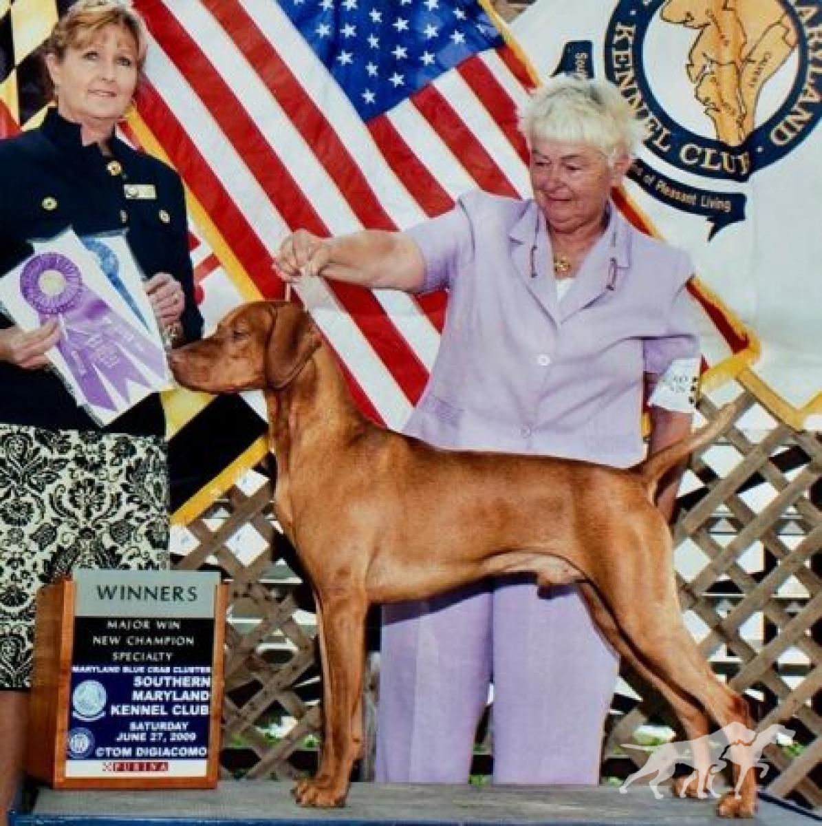 Hunters Run King Of Hearts