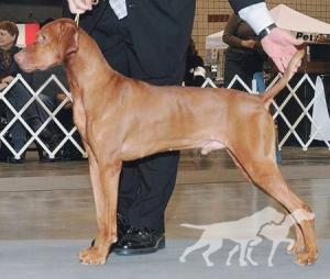 Hi-Weyer Tokaji Aszu'