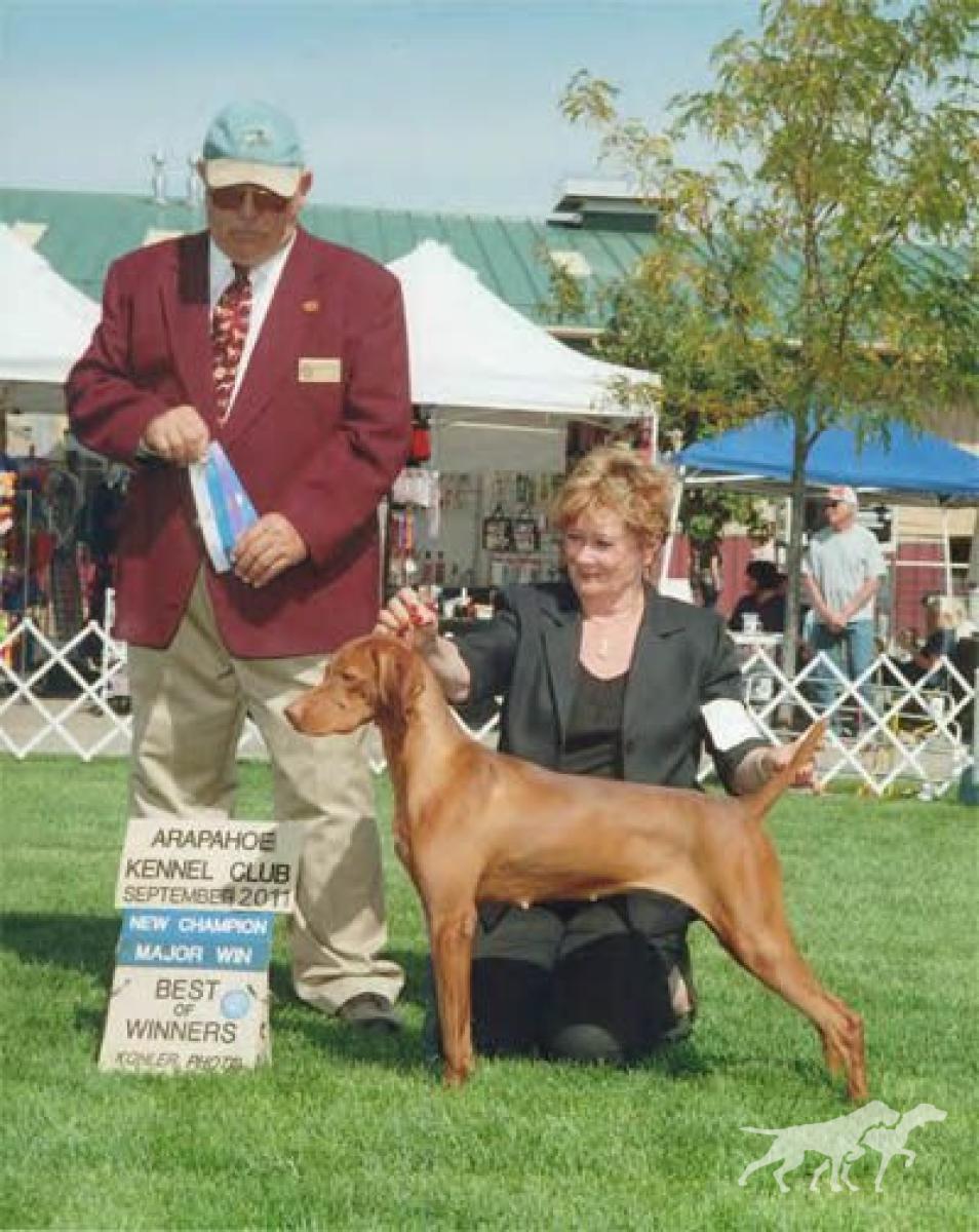 Russet Leather Peyton Red