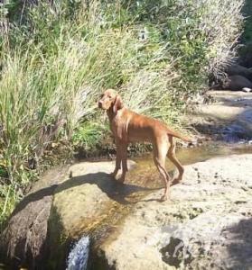Walter's Sweet Georgia Brown