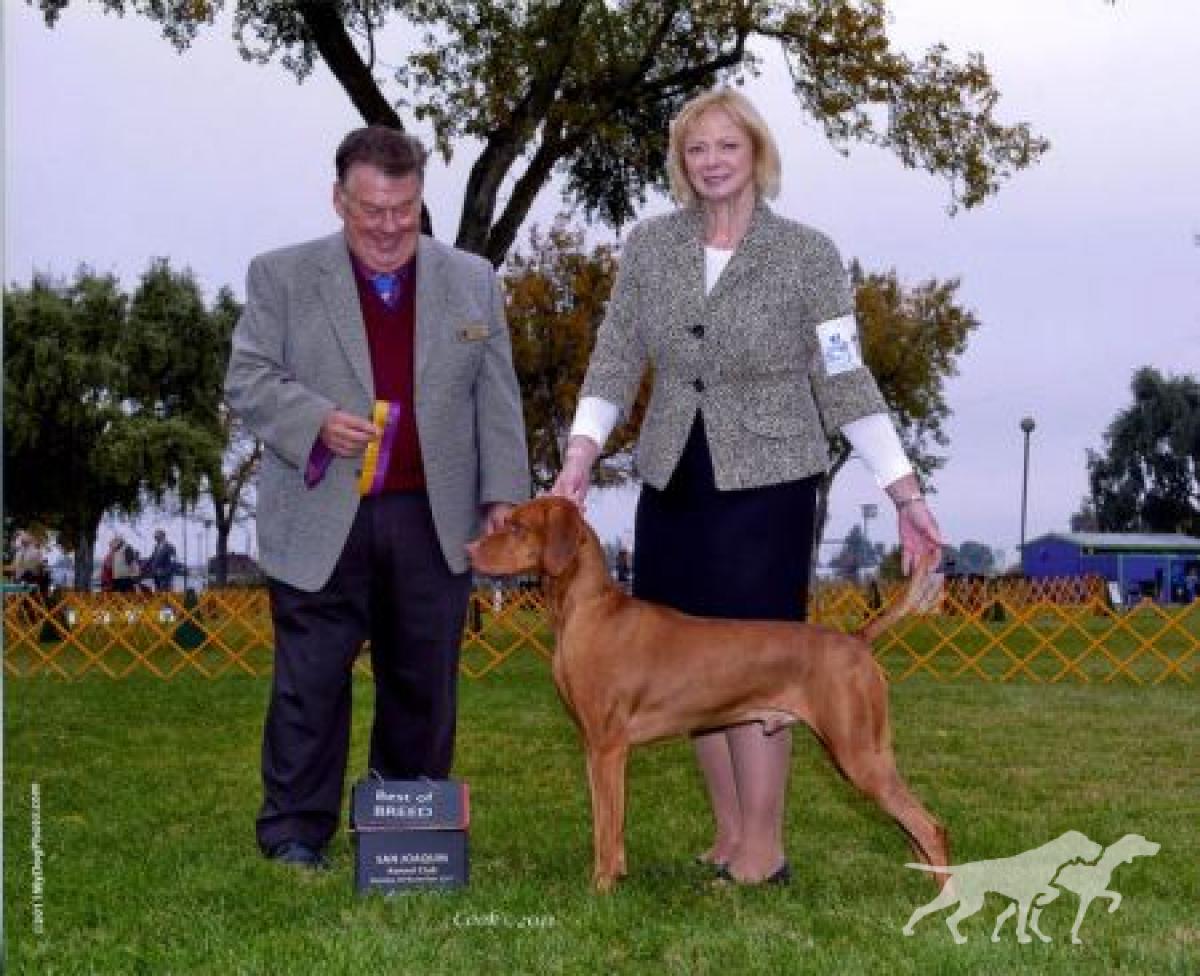 Kiralyi Jen's Penny Tribute To Tucker