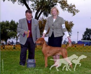 Kiralyi Jen's Penny Tribute To Tucker