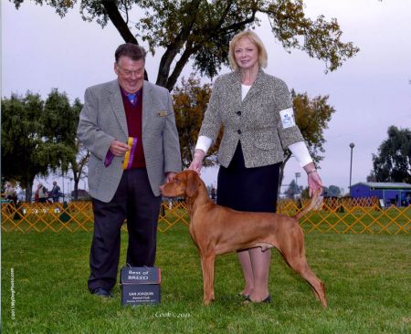 Kiralyi Jen's Penny Tribute To Tucker