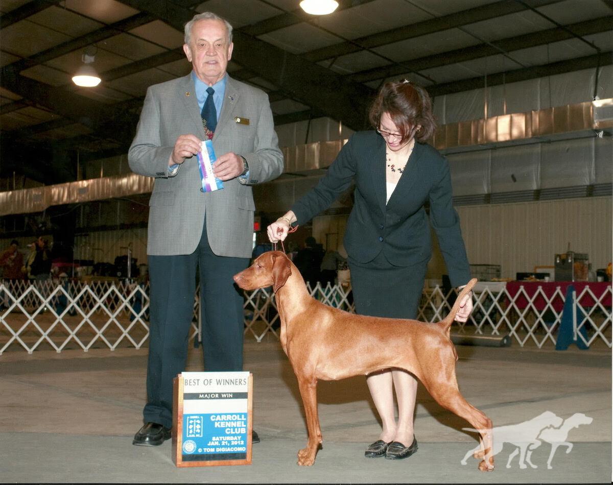 Brittania N Opus One's Last Fling With Ding