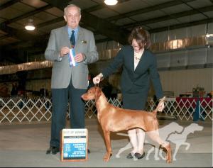 Brittania N Opus One's Last Fling With Ding