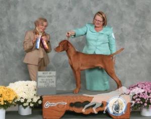 Rozsa Huntmore Padrone