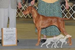 Everedi's Layla Of Red Dogwood
