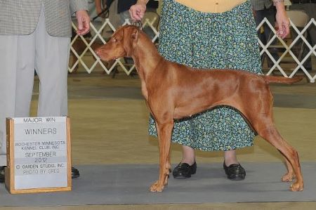 Everedi's Layla Of Red Dogwood