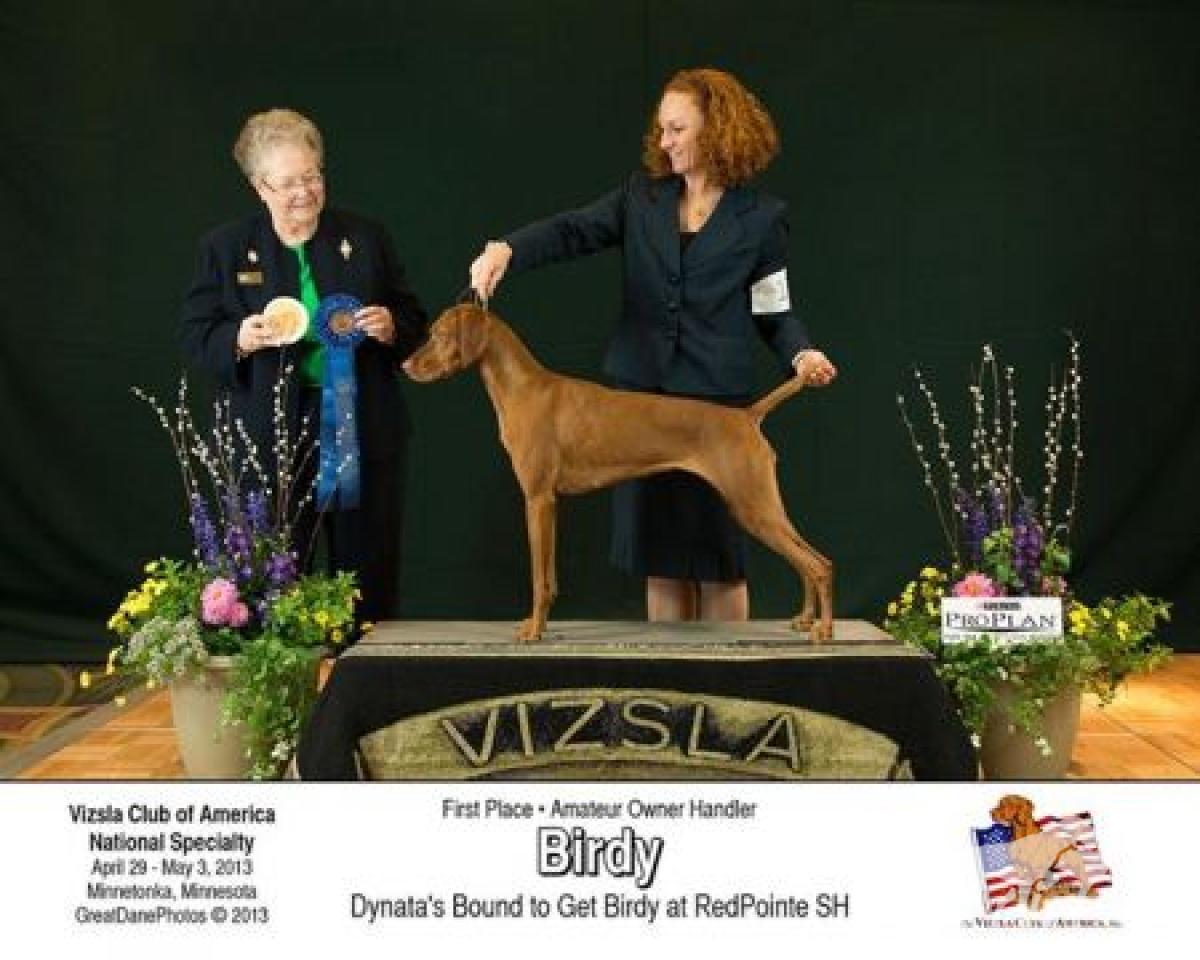 Dynata's Bound To Get Birdy At Redpointe