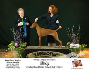 Dynata's Bound To Get Birdy At Redpointe