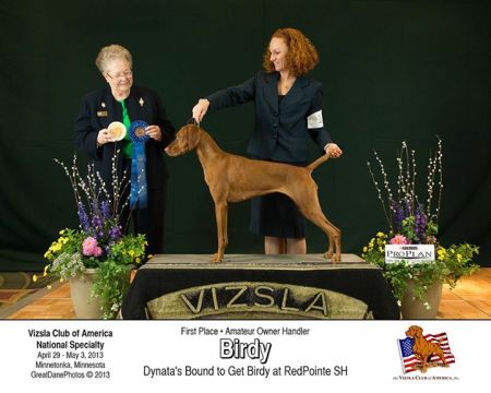 Dynata's Bound To Get Birdy At Redpointe
