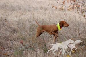 Dynata's Bound To Get Birdy At Redpointe
