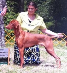 Cameo's Maximus Aurelius