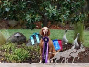 Hrq Meet The Expert