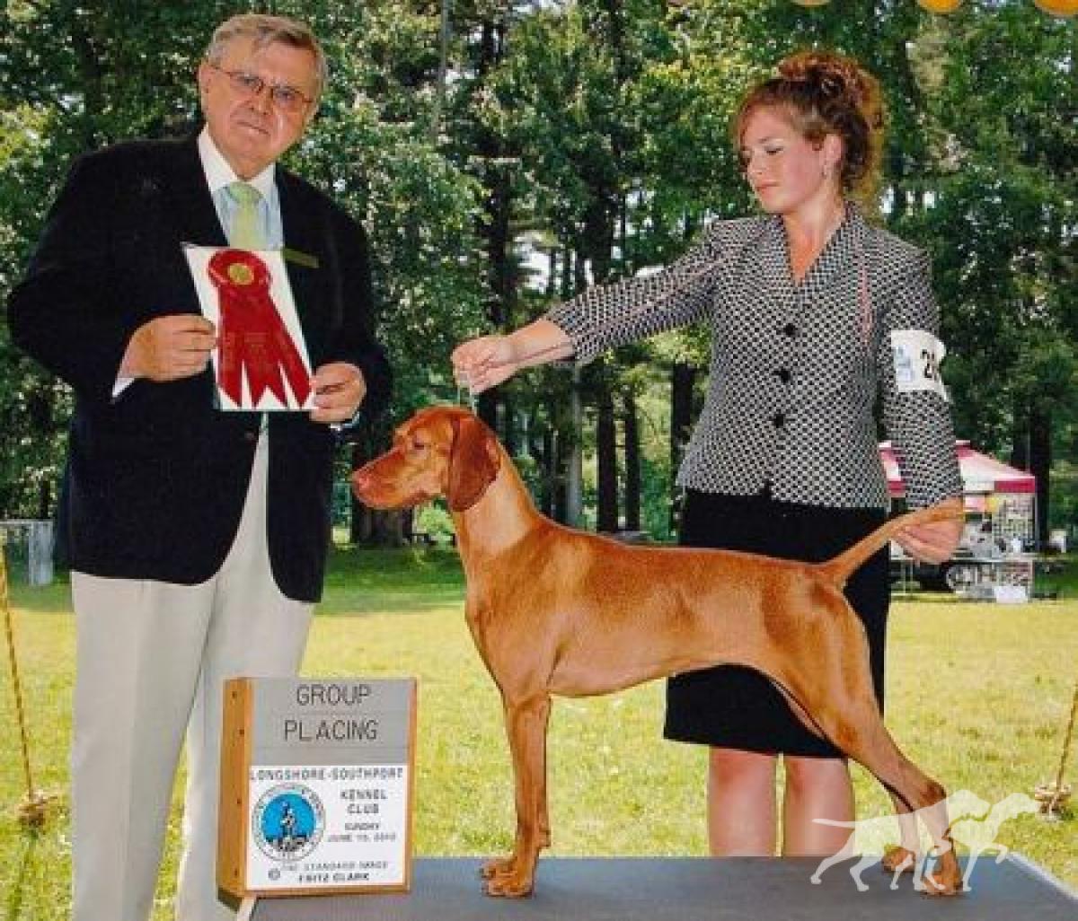 Szizlin Autumn's Joy Kaya Happy Tails