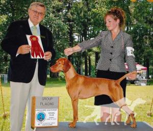 Szizlin Autumn's Joy Kaya Happy Tails