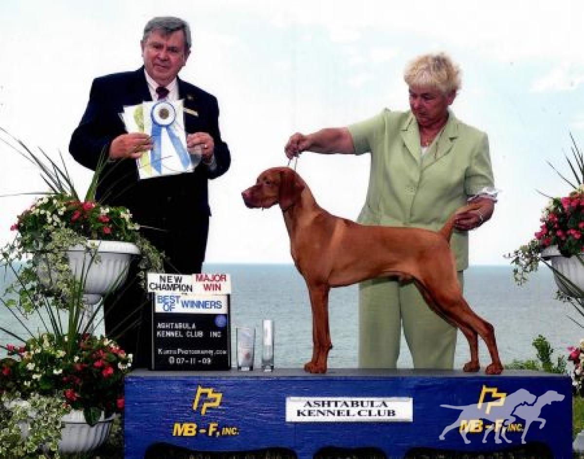Kezdet's King Henry Of Greenstone