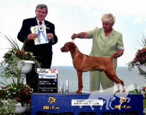 Kezdet's King Henry Of Greenstone