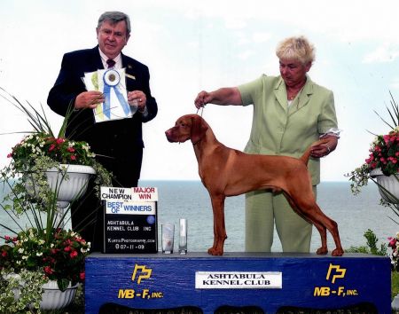 Kezdet's King Henry Of Greenstone