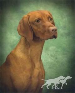Kezdet's Russet Leather River Whisper