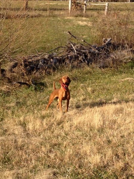 Huntin With A Lil' Swagger