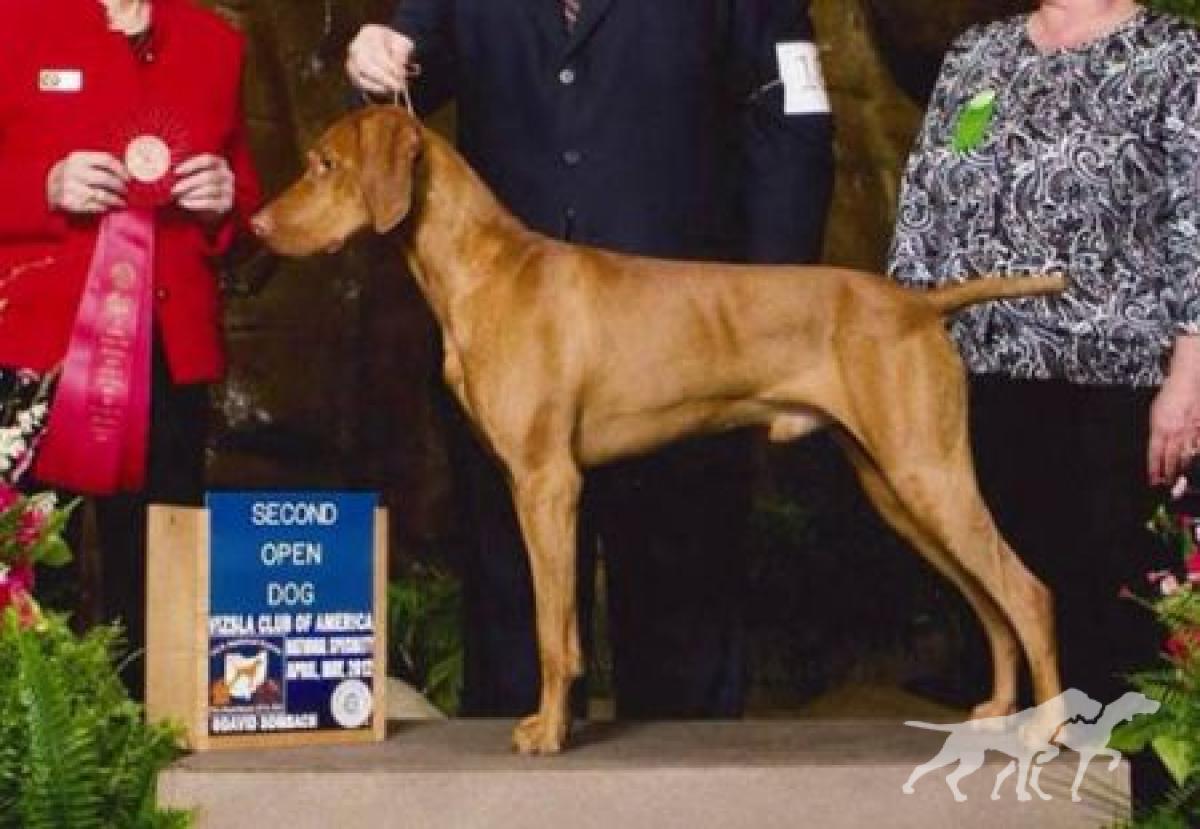 Sassafras Earn'n His Keep