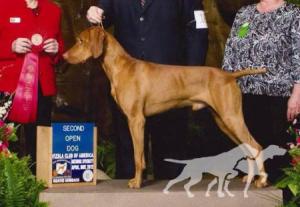 Sassafras Earn'n His Keep