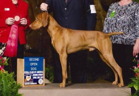 Sassafras Earn'n His Keep