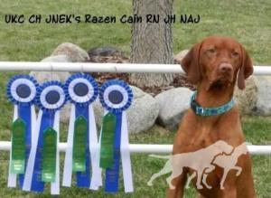 Jnek's Razen Cain