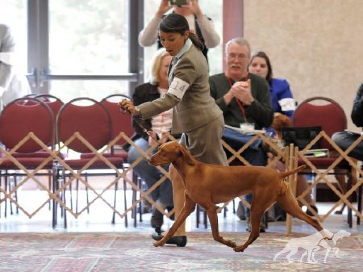 Boulder's N Fusion's Heartbreaker