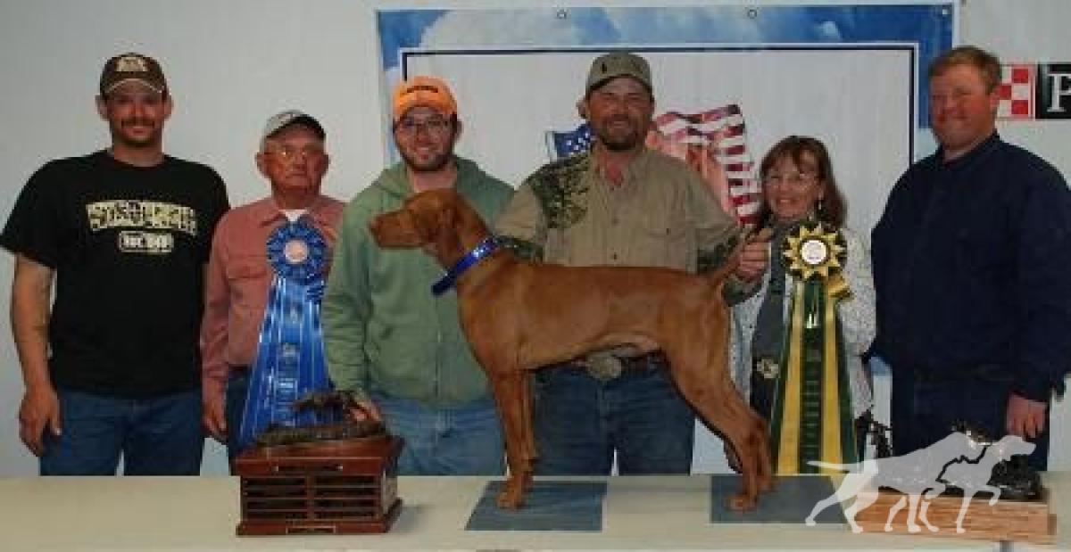 Boulder's N Fusion's Heart Of A Stallion / Enzo Vizsla