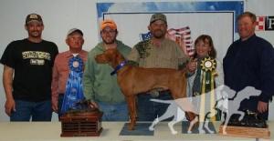 Boulder's N Fusion's Heart Of A Stallion / Enzo Vizsla