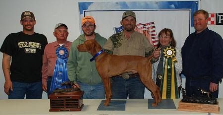 Boulder's N Fusion's Heart Of A Stallion / Enzo Vizsla