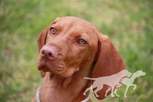 Abbiestar Caisse De Pargne