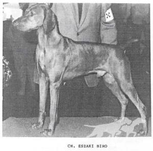 Eszaki Biro