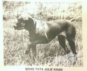Behi's Ta Ta Julie Khan