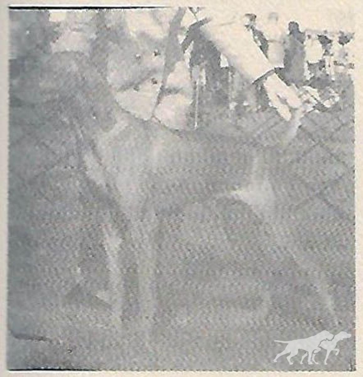 Cariad's Tori Barat