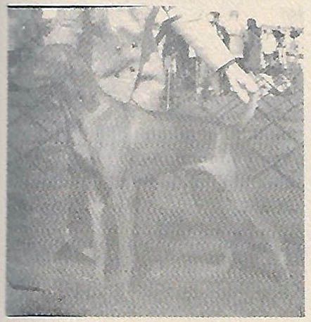 Cariad's Tori Barat
