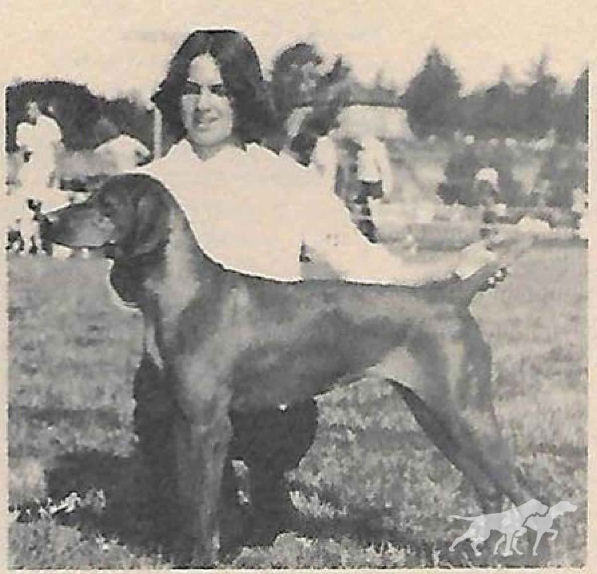 Copper Cannon Leia Voros Tar