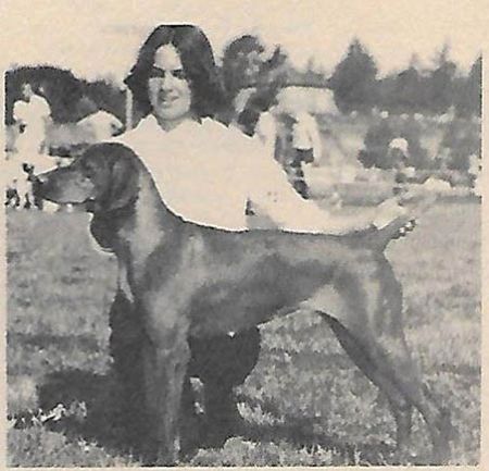 Copper Cannon Leia Voros Tar
