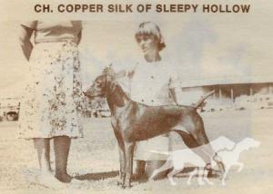 Copper Silk Of Sleepy Hollow