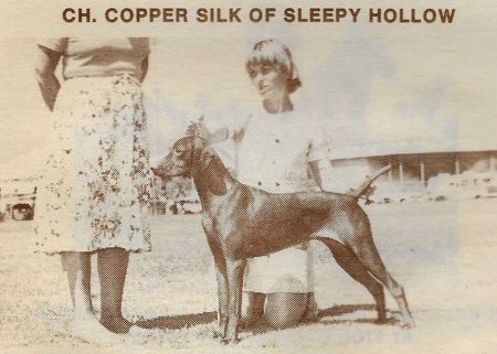 Copper Silk Of Sleepy Hollow