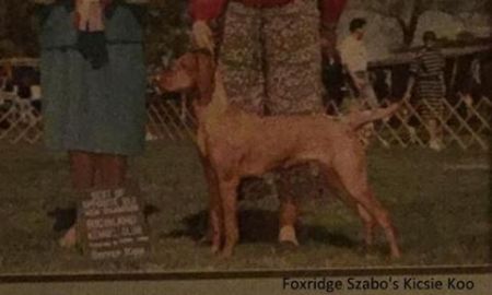 Foxridge Szabo's Kicsie Koo