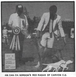 Gordon's Red Radar Of Carvon