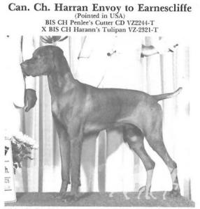 Harann Envoy To Earnescliffe
