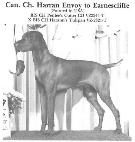 Harann Envoy To Earnescliffe