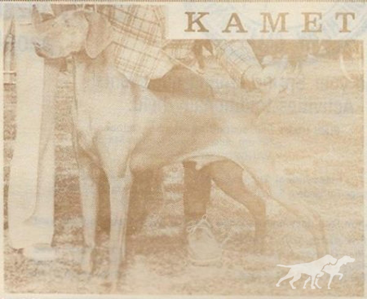 Kamet Gunner