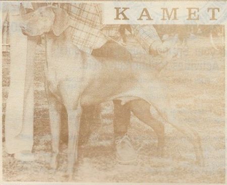 Kamet Gunner