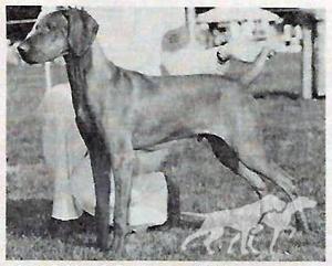 Kamet Kody